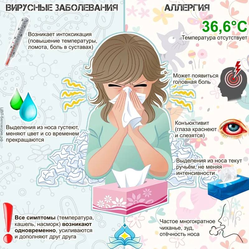 Спасите свой нос – Аллергия
